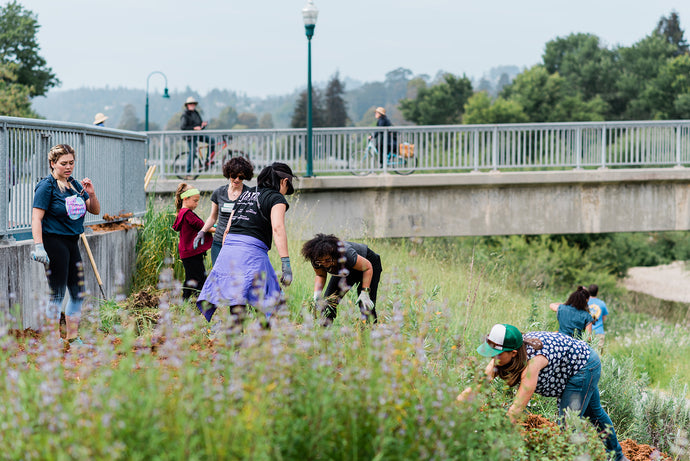 Bridging the Gap - A River Beautification and Clean Up!