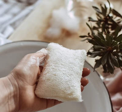 From Microplastics to Plastic-Free Kitchen Sponges