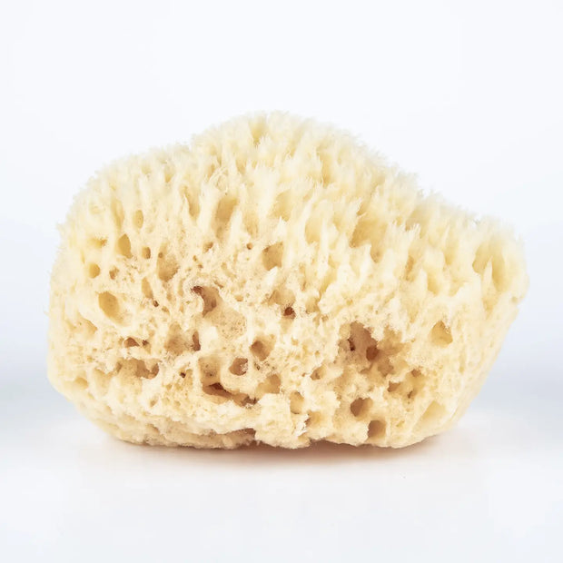 Bath Sea Sponge - Small