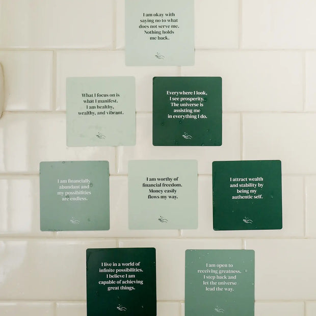 Shower Affirmation™ Cards - Abundance