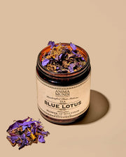 Blue Lotus Wildcrafted Tea - Flower of Intuition